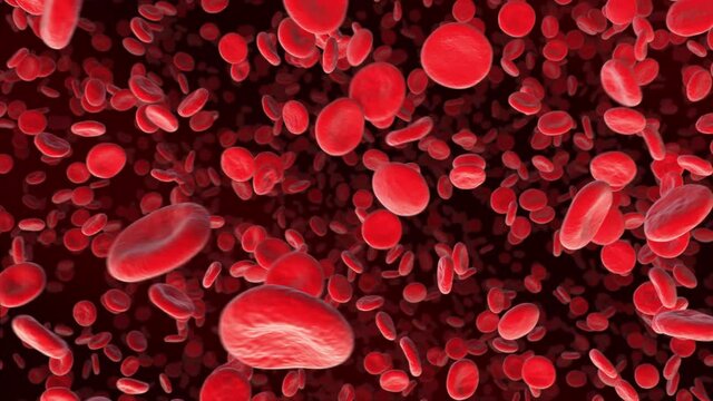 Inside Blood Vessel. Blood Stream inside Artery. Erythrocytes flow animation. Blood cells.