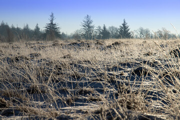 Landschaft im Winter