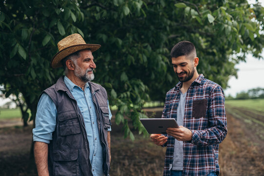 senior and young worker talking in orchard