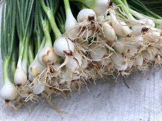 Selection focus, Pile of white shallot or onion with roots for sale at local morning market in Thailand. Freshness organic Scallions in farm. Copy space on right.