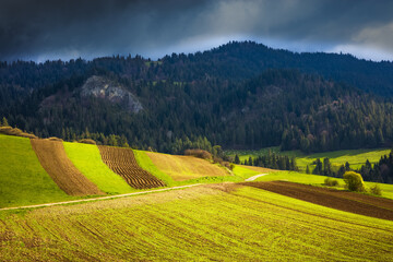 Piękno Wiosennych Pienin © Wojciech Lisiński