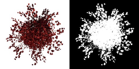 Top view of Plant (Maple October Glory 1) Tree png with alpha channel to cutout made with 3D render