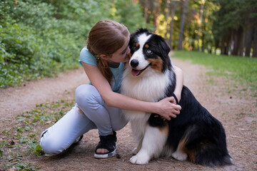 Naklejka na ściany i meble teenage girl embrace kiss australian shepherd dog in summer. Stand in forest