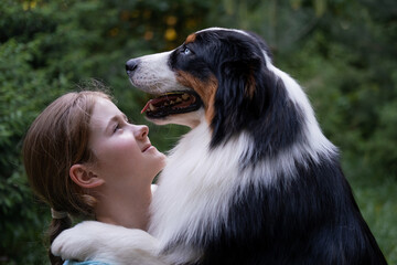 Naklejka na ściany i meble teenage girl look at australian shepherd dog in summer. Stand in forest