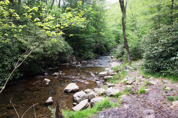 Hawk Falls Hiking Trail Poconos PA
