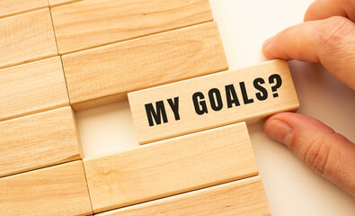 Hand holds a wooden cube with the text MY GOALS.