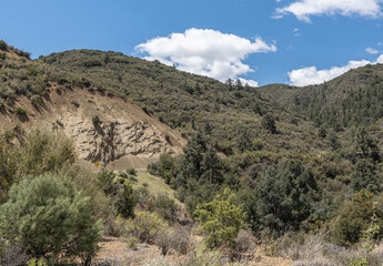 Los Padres National Forest, CA, USA - May 21, 2021: Brown rocky cliff on forested mountain range under blue cloudscape. Green shrub and trees.