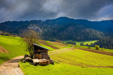 Pieniny wiosną  © Wojciech Lisiński