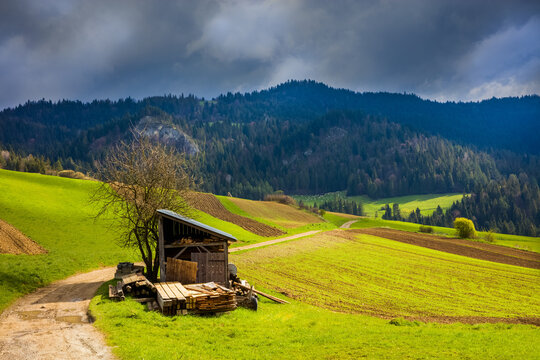 Pieniny wiosną 