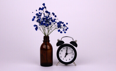 Glass bottle with blue gypsophila flowers and black clock