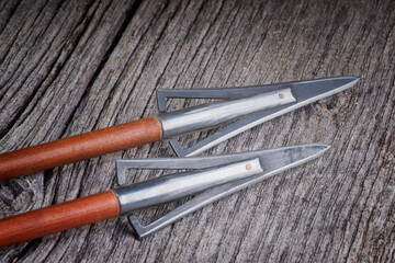 Two Vintage Arrowheads on Weathered Wood