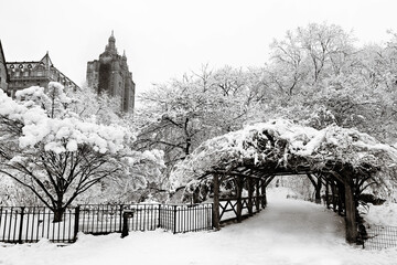 central Park Snowstorm Black and White