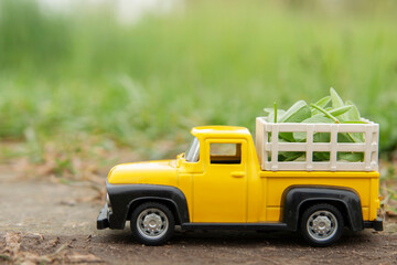 Farming concept. Place for text. Retro yellow farm pickup truck with greenary at the field. Agriculture concept