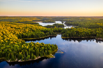 Lake and Forest approaching autumn with hits of yellow