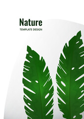 Composition from exotic tropical leaves on a white background. Template for your design. Vector