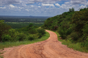 Nature, flowers and sun