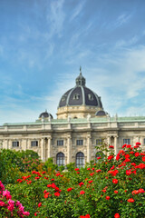 Fototapeta na wymiar Red Roses in Volksgarten Vienna Austria