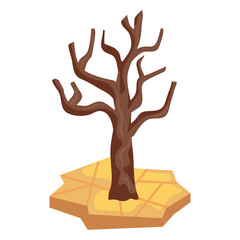 dry tree in desertification