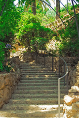 Stairs to the archway. Path covered with plants in the gardens of Guell Park. Architecture Details by Antonio Gaudi, Barcelona, Spain.