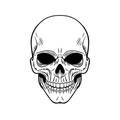 Skull. The skeleton of a stake. Dead pirate with bones. Clipart vector illustration. Vinyl cutting and printing