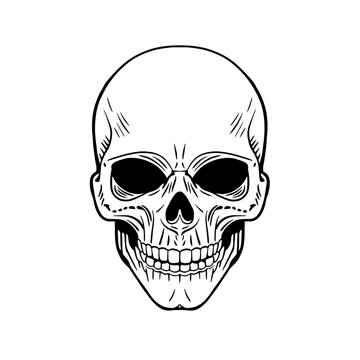 recommend clip art: Skull. The skeleton of a stake. Dead pirate with bones. Clipart vector illustration. Vinyl cutting and printing