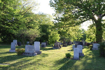 Cimetière et pierres tombales dans un parc en été.  Culture celtique et pierres anciennes....