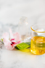 Aloe with Massage Oil