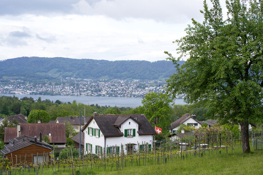 View from Zurich Witikon to city and  lake Zurich and the Swiss alps. Photo taken May 25th, 2021, Zurich, Switzerland.