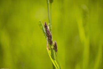details of nature on a walk yesterday