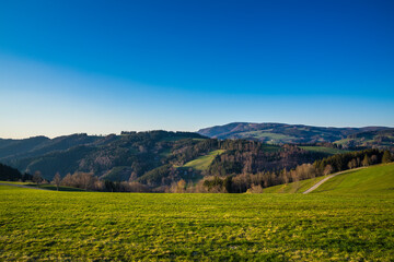 Fototapeta na wymiar Germany, Warm evening sunlight shining on green pastures and trees at edge of the forest in schwarzwald nature landscape under blue sky
