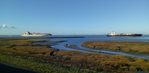 two container ships are navigating along a salt marsh in the westerschelde sea through river...