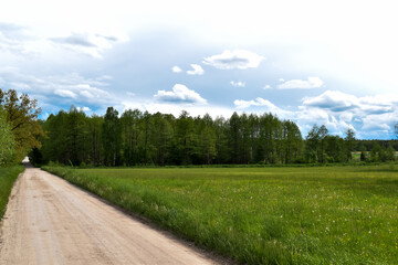 Fototapeta na wymiar Polna droga, zielona trawa i drzewa.
