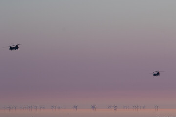 Chinnock helicopter in flight over a wind farm.