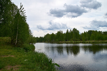 Fototapeta na wymiar summer landscape on the banks of the river