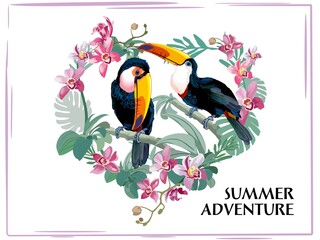 Toucan bird. Summer adventure exotic birds. Vector illustration. © Evgeniia Voblenko