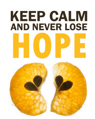 Fertility quotes. Conceptual image with text. Motivational quotes