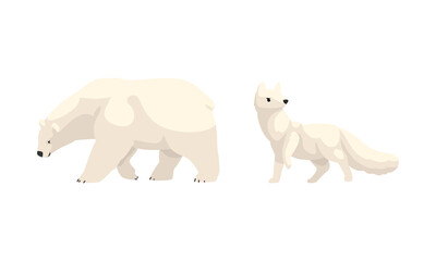 Arctic Animals Set, White Polar Bear and Fox Cartoon Vector Illustration