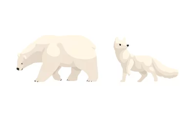 Foto op Canvas Arctic Animals Set, White Polar Bear and Fox Cartoon Vector Illustration © topvectors