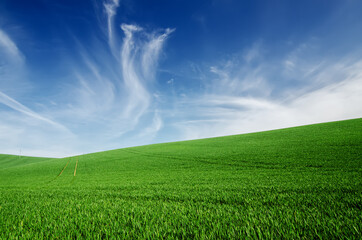 Abstract natural background