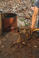 Mezcal master crushing the pineapple from the agave with a wooden mallet to extract the juice and turn it into mezcal.
