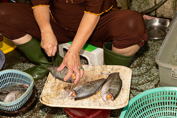 Mujer limpiando pescado en mercado de Vietnam.