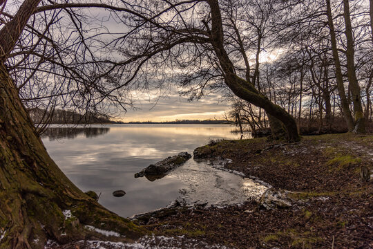Woodland