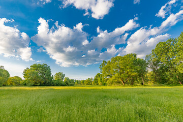 Idyllic spring summer beautiful landscape in the park with green grass field. Meadow nature, blue cloudy sky, green trees and field and trees. Nature landscape, peaceful, relax, inspire natural view