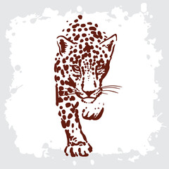 Leopard simple sketch drawing on a white background. Wild animal drawing. © Oleksii