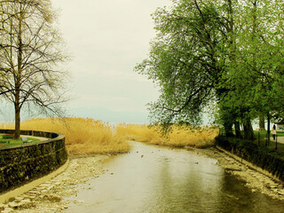 Natural Landscape of river running through Morges city in Switzerland, near the independent park where tulips festival is celebrated yearly. 