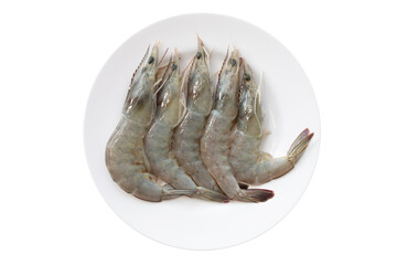 Fresh shrimp on white background