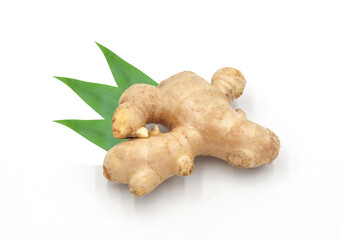 Fresh ginger with leaves isolated on white background