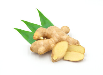 Fresh ginger with leaves isolated on white background
