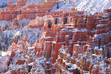 Early winter snowstorm and hoodoos in Bryce Canyon Utah