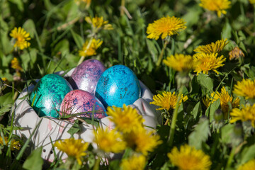traditional Easter eggs and flowers